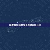 属虎的62年的今天的财运怎么样，六二年属虎女今年的运势