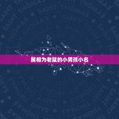 属相为老鼠的小男孩小名，怎么用五谷为属鼠的宝宝起小名？