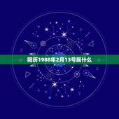 阳历1988年2月13号属什么，2022 22 3是什么节日