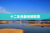 十二生肖最佳婚配图，十二生肖婚配:属相合婚配对表