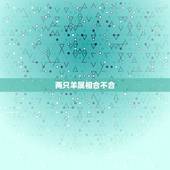 两只羊属相合不合，91属羊一生有几次婚姻