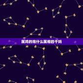 属鸡的抱什么属相的干妈，属鸡和什么属相合财