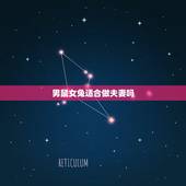 男鼠女兔适合做夫妻吗，鼠和兔的婚姻能长久吗