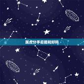 属虎分手后能和好吗，属虎男人放弃你表现