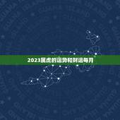 2023属虎的运势和财运每月，2022年属虎本命年