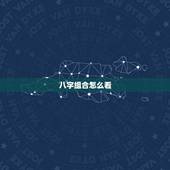 八字组合怎么看，看看这两个人的八字组合