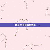 11月23号运势怎么样，薛淼92年农历11月23日生一生命运怎么样？
