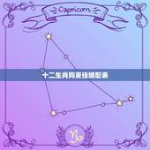 十二生肖狗更佳婚配表，狗日配动物生肖