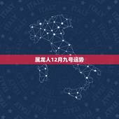 属龙人12月九号运势，我是1988年12月13日。属龙。2008的运势