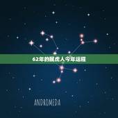 62年的属虎人今年运程，62年属虎人在阴历12月运势