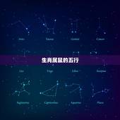 生肖属鼠的五行，一生旺属鼠的颜色