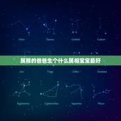 属猴的爸爸生个什么属相宝宝最好，父亲属羊母亲是属猴生个什么属相的孩子好