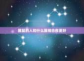 属鼠的人和什么属相合作更好，属鼠的和什么属相最配