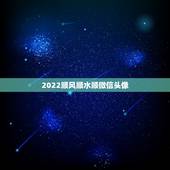 2022顺风顺水顺微信头像，这个图是出自？微信头像用这个有什么含义？
