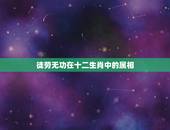 徒劳无功在十二生肖中的属相，徒步行走的徒字是什么意思？ 还有 好事之徒