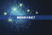 属蛇的多大年纪了，属蛇的今年虚岁几岁