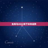 生肖马2022年下半年运势，2021年属马男人的全年运势