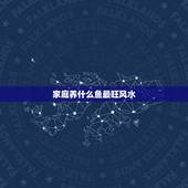 家庭养什么鱼最旺风水，养什么鱼最旺财风水