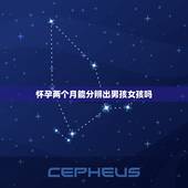 怀孕两个月能分辨出男孩女孩吗，怀孕辨别男女的方法有什么？