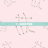 十二星座简单图案，12星座得简单版图案，黑白得，谢谢