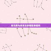 肖马男与肖羊女的婚配幸福吗，男属马女属羊婚配咋样