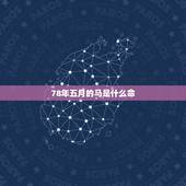 78年五月的马是什么命，1978年属马的几月出生人命好