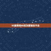 95猪男和88龙女属相合不合，88年属龙男和95年属猪女配吗？