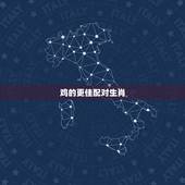 鸡的更佳配对生肖，十二生肖鸡和什么相配