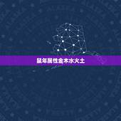 鼠年属性金木水火土，96年火鼠为什么是水命