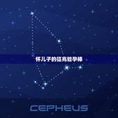 怀儿子的征兆验孕棒，怀男孩的预兆