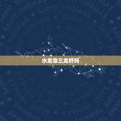 水龙命三龙好吗，2012年属龙水龙命和2023年属鼠金鼠命相克吗？
