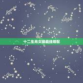 十二生肖女猪最佳婚配，属猪的与哪些属相婚配最好
