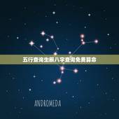 五行查询生辰八字查询免费算命，五行在线查询