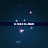 2022年属鸡人的运势，属鸡明年运势2022年