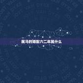 属马的婚配六二年属什么，2002年属马的最佳婚配