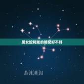 属女蛇和龙的婚配好不好，属鼠和属龙相配吗