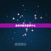 金命水猴命里缺什么，1992年属猴姻缘在哪年
