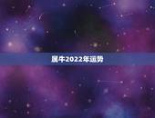 属牛2022年运势，属牛2022 年谁都躲不过的劫难