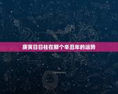 庚寅日日柱在那个辛丑年的运势，辛丑日庚寅时是暗合吗