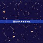 属虎和龙属相合不合，生肖龙和虎合不合