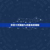 农历十月属蛇九月属羊的婚配，属羊和属蛇的十月一适合结婚么