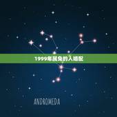 1999年属兔的人婚配，99年属兔的属相婚配表示