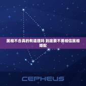 属相不合真的有道理吗 到底要不要相信属相婚配