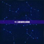 十二属相男女婚配，最准的12生肖配对表？
