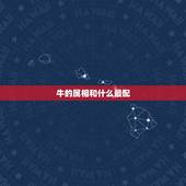 牛的属相和什么最配，属牛的跟什么犯冲