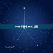 1985年属牛2022运势，85年属牛2021年运势及运程每月运程