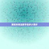 属蛇的幸运数字是多少更好，四个不能戴自己生肖的属相