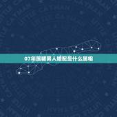 07年属猪男人婚配是什么属相，1971年属猪的人和什么属相相配