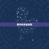 属牛的学业运势，属牛1997年6月今年的学习运势
