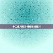 十二生肖相冲相克婚姻配对，十二生肖相配相克